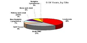 Years by site