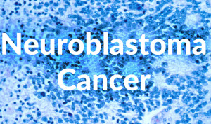 Neuroblastoma Cancer