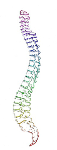 spinal cord tumors