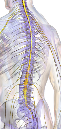 Spinal Cord Tumors in Children Treatment Options