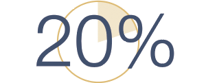 20%